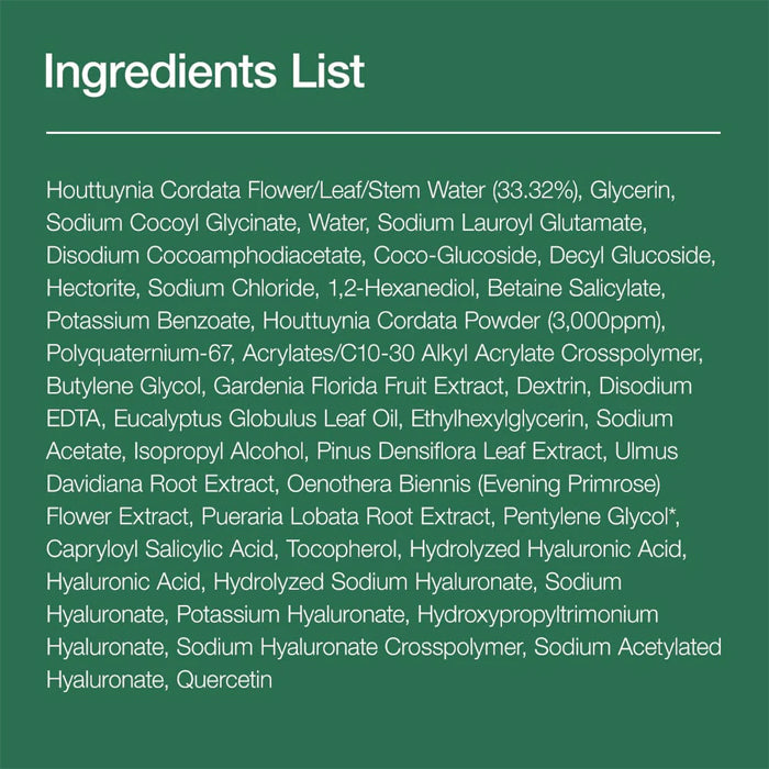 [ANUA] Heartleaf Quercetinol Pore Deep Cleansing Foam